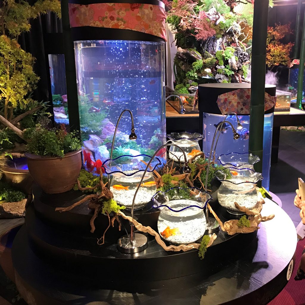 箕面温泉 アクアリウム