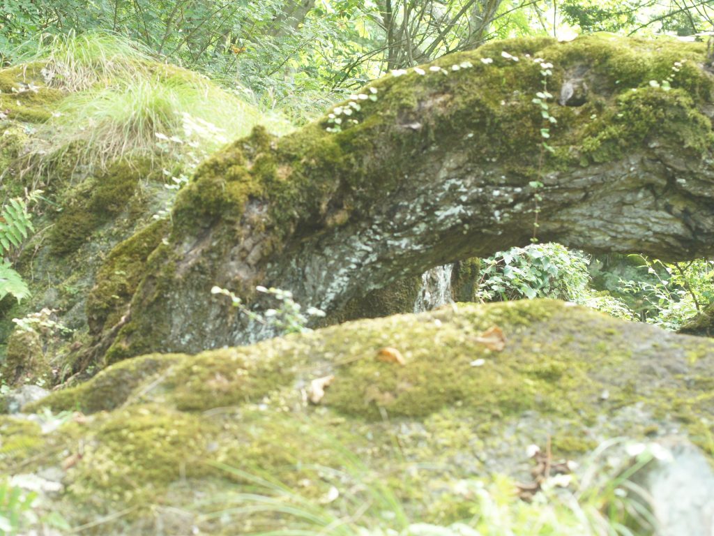 竹田城跡立雲峡