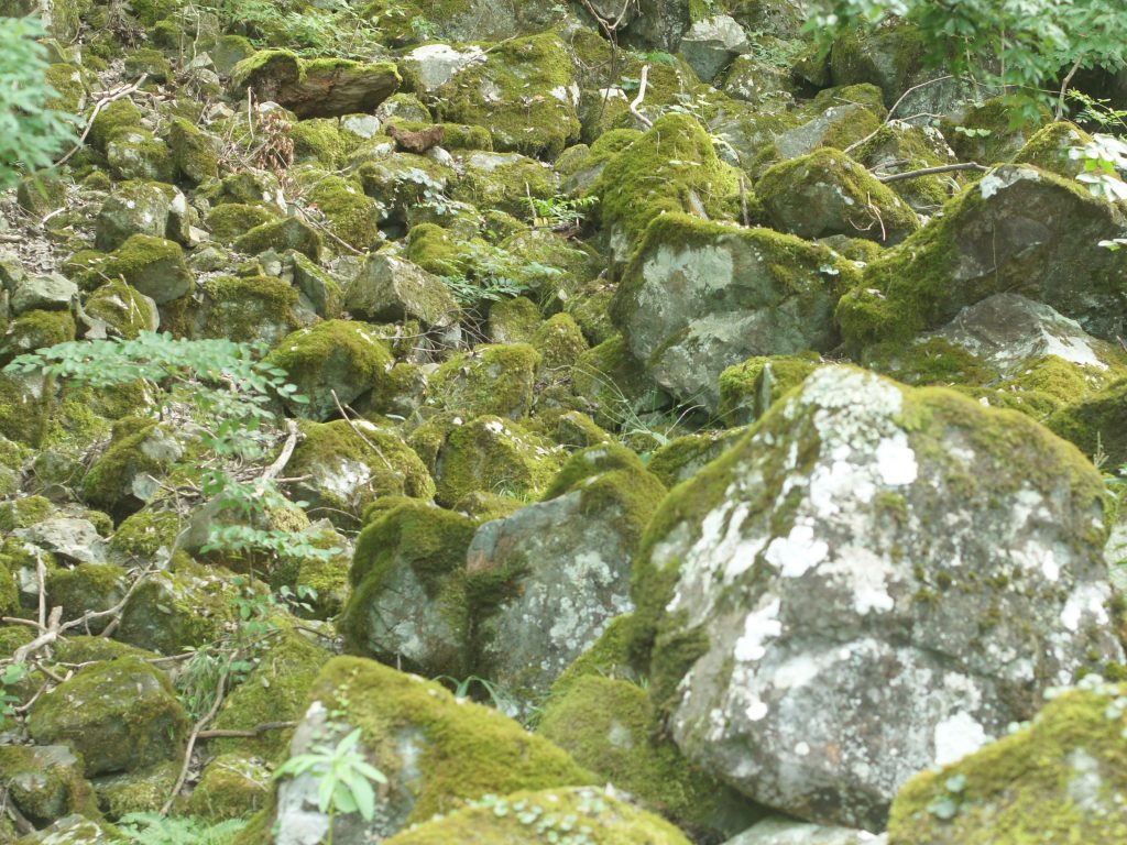 竹田城跡立雲峡