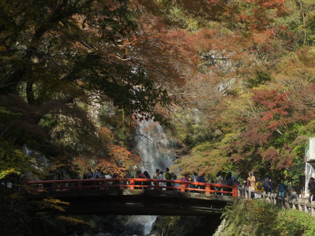 箕面-紅葉-滝